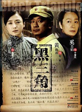 黑三角2008第17集