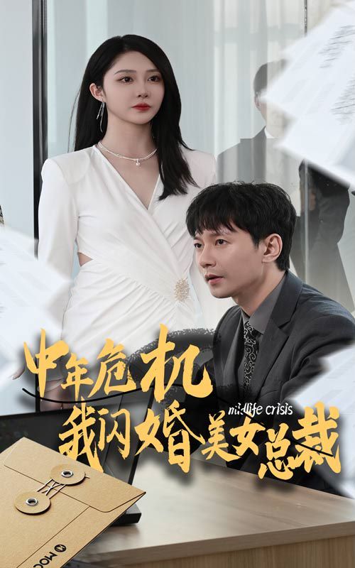 中年危机我闪婚美女总裁第15集