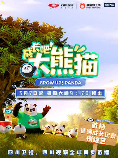 成长吧！大熊猫第11期