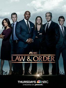 法律与秩序 第二十二季第12集
